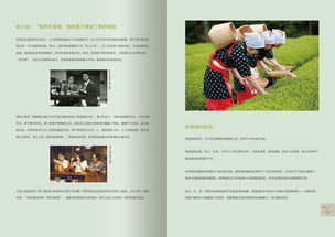 探索美食之旅 品味世界的文化与艺术